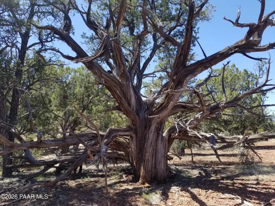 446 Arizona Road, Ash Fork, AZ 86320 - #3