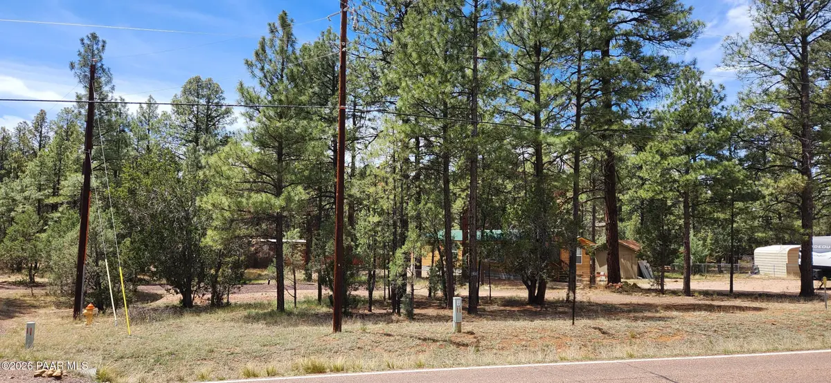 2890 Pine Rim Road, Overgaard, AZ 85933 - #1