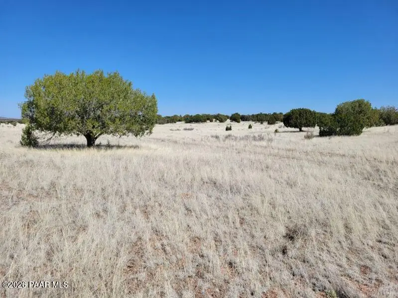 Lot 293 N Flaming Star Drive, Seligman, AZ 86337 - #3