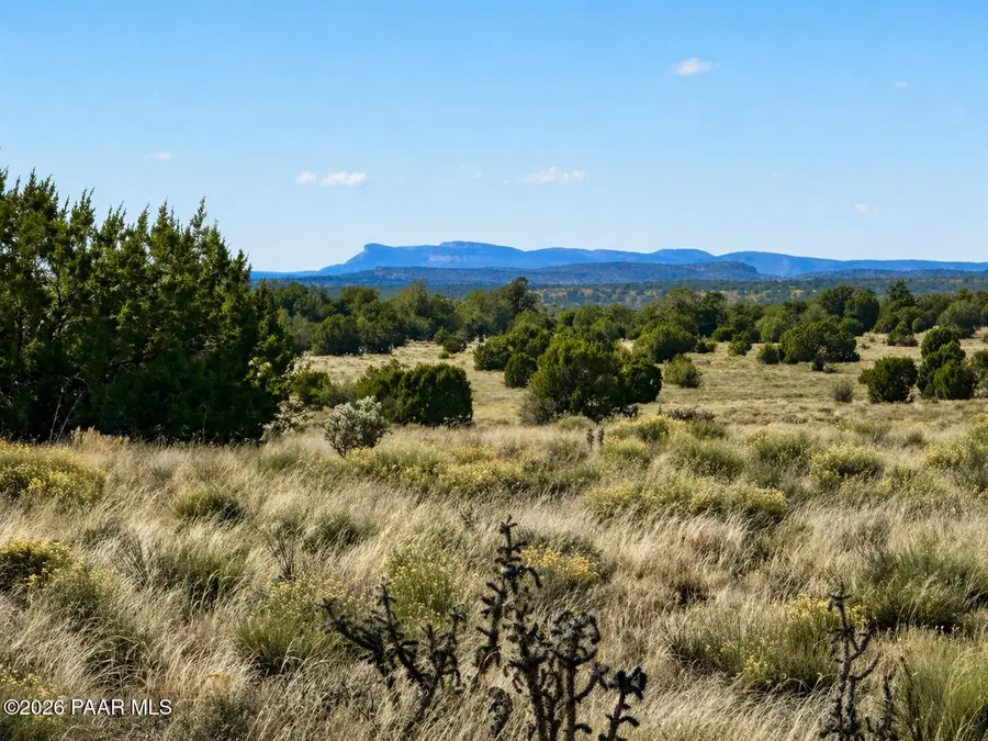 78 N Miller Road, Seligman, AZ 86337 - #2