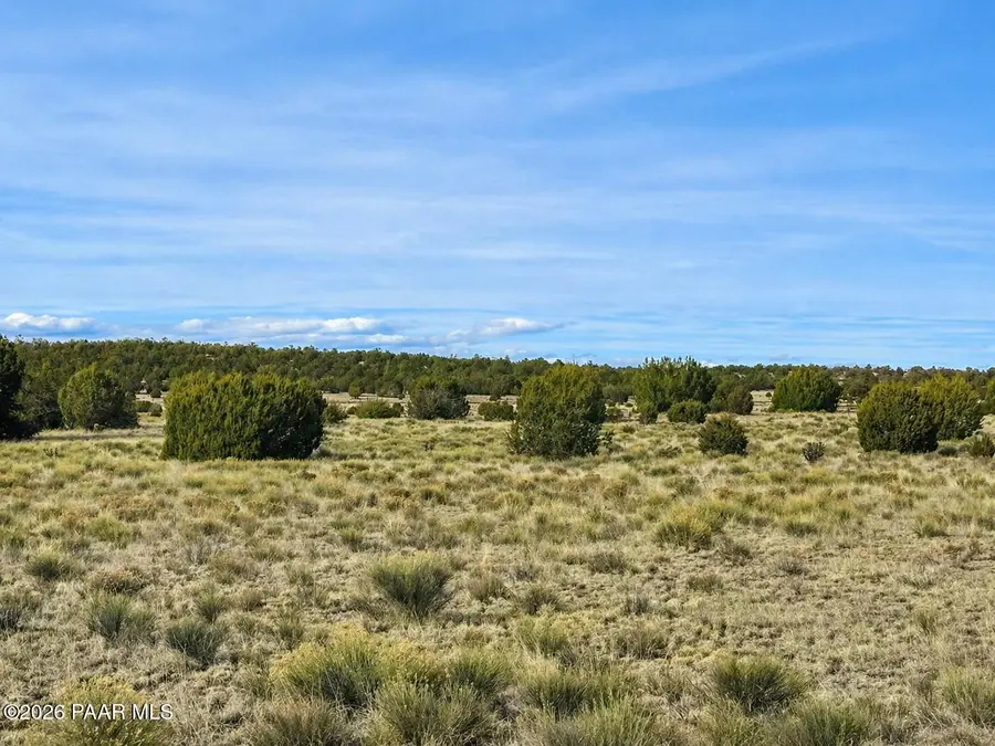 78 N Miller Road, Seligman, AZ 86337 - #3