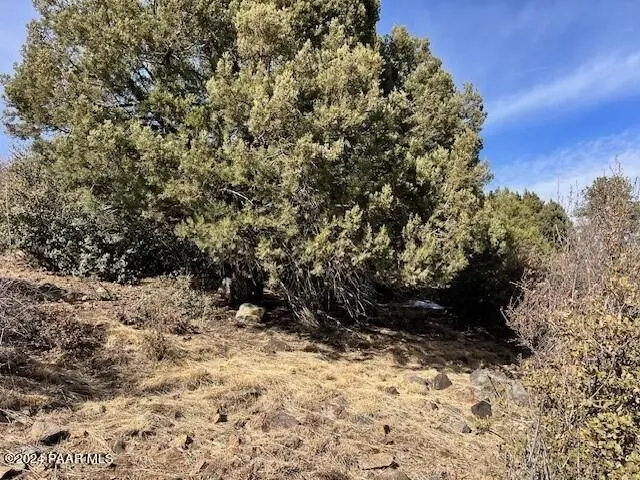591 Sandpiper Drive, Prescott, AZ 86303 - #3