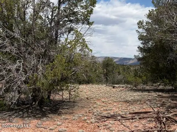 55103 N La Baya Road, Seligman, AZ 86337