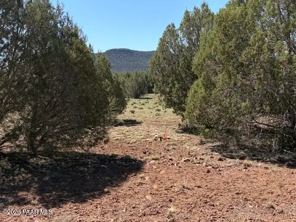 Lot 851 Fort Rock Road, Seligman, AZ 86337