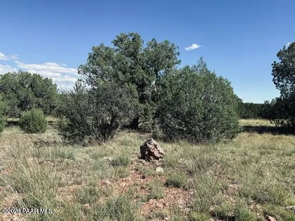 Lot 89sw Arrow Way, Seligman, AZ 86337