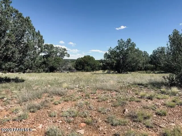 Lot 89sw Arrow Way, Seligman, AZ 86337 - #2