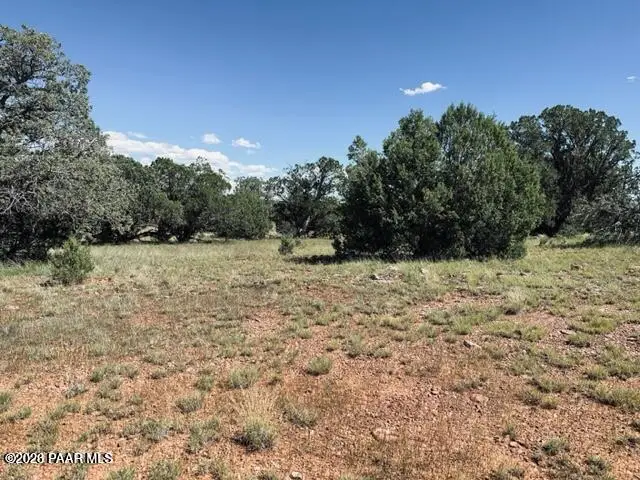 Lot 89sw Arrow Way, Seligman, AZ 86337 - #3