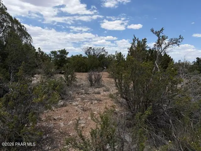 3883 N Shadow Mountain Parkway, Seligman, AZ 86337 - #1