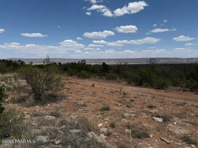 3883 N Shadow Mountain Parkway, Seligman, AZ 86337 - #3