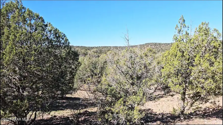 54913 N Echo Lane, Seligman, AZ 86337 - #2