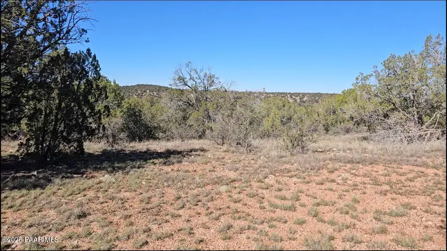 54913 N Echo Lane, Seligman, AZ 86337 - #3