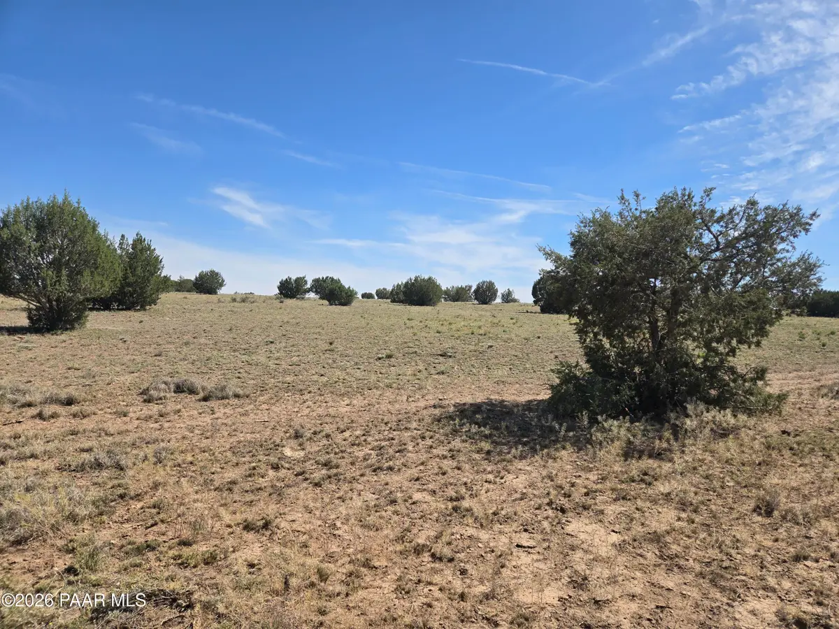 256d Old Antelope Run Road, Ash Fork, AZ 86320 - #1