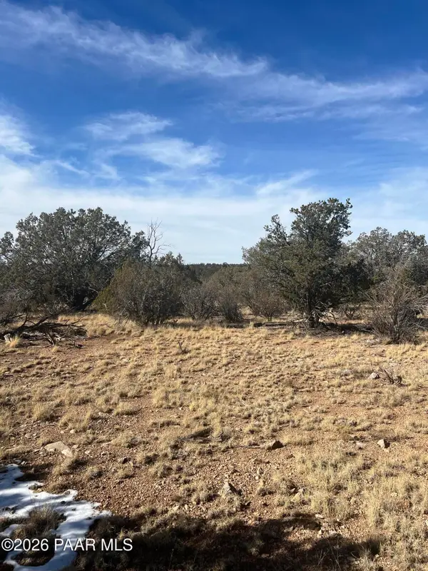 54506 N Shadow Mountain Circle, Seligman, AZ 86337