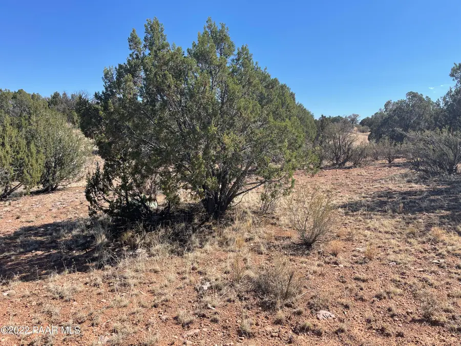 30134 W Alpia Circle, Seligman, AZ 86337 - #2