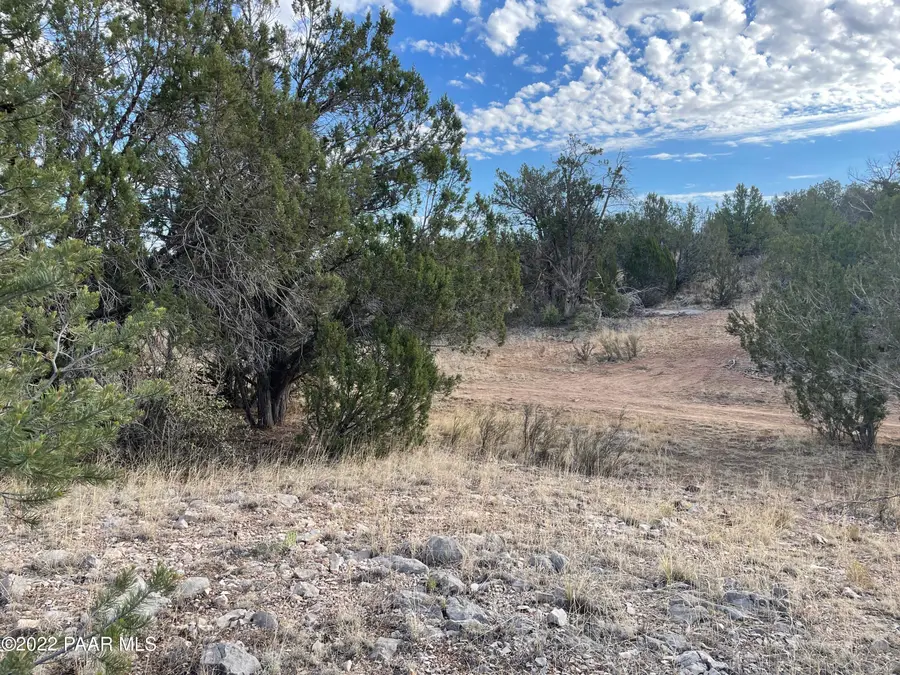 54663 N Forest Grove Way, Seligman, AZ 86337 - #3