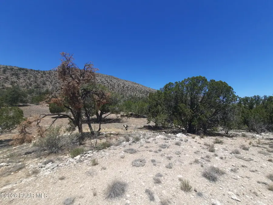 1240e Off Shadow Mountain Parkway, Seligman, AZ 86337 - #2