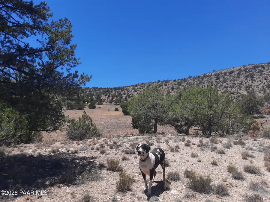 1240e Off Shadow Mountain Parkway, Seligman, AZ 86337 - #3