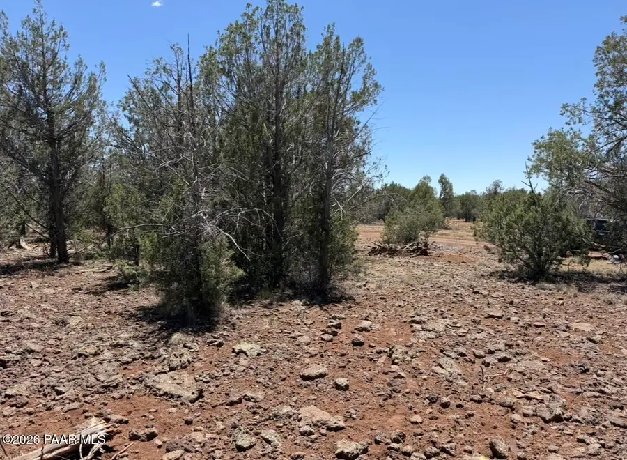 5589 N Randall Boulevard, Williams, AZ 86046 - #2