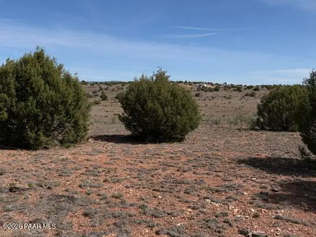 363se Via Dolorosa, Seligman, AZ 86337 - #3