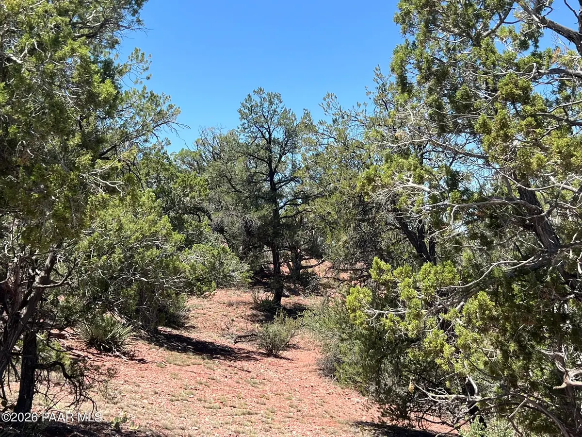 201 Cathedral Valley Road, Ash Fork, AZ 86320 - #1
