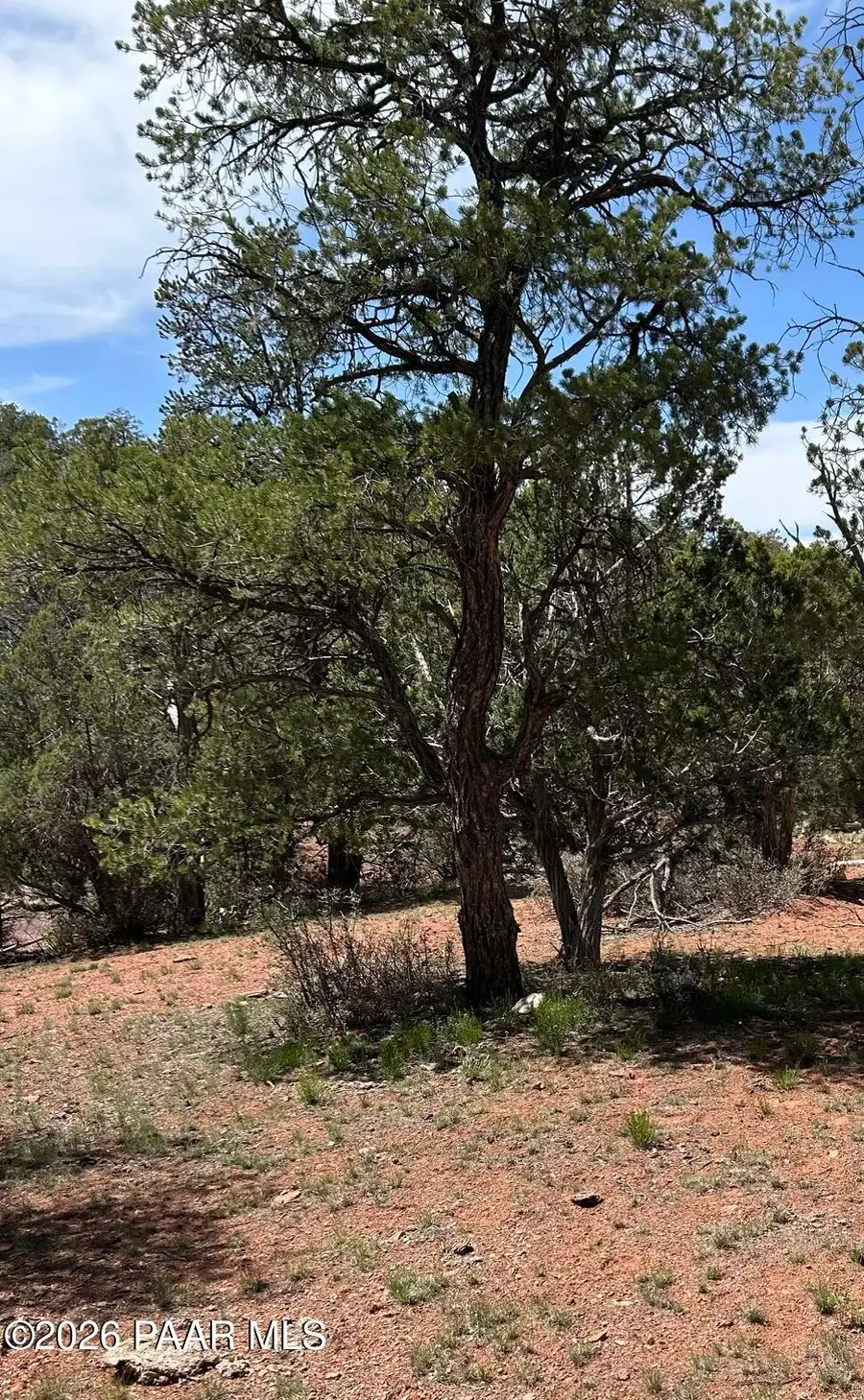 179 Arizona Rd, Ash Fork, AZ 86320 - #2