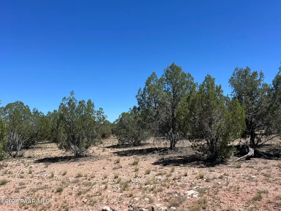 202 Cooks Trail, Ash Fork, AZ 86320 - #2
