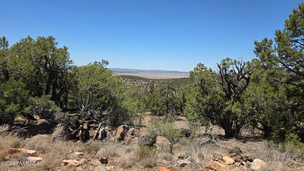 1224-A Pale Moon, Seligman, AZ 86377 - #1