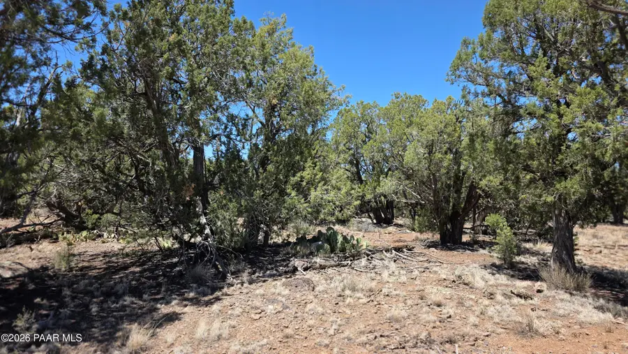 1224-A Pale Moon, Seligman, AZ 86377 - #3