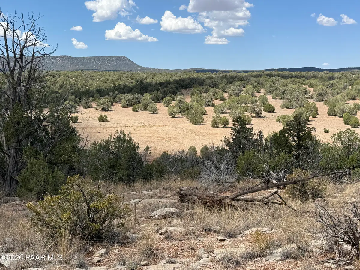 56568 N Avenida Derecha, Seligman, AZ 86337 - #1