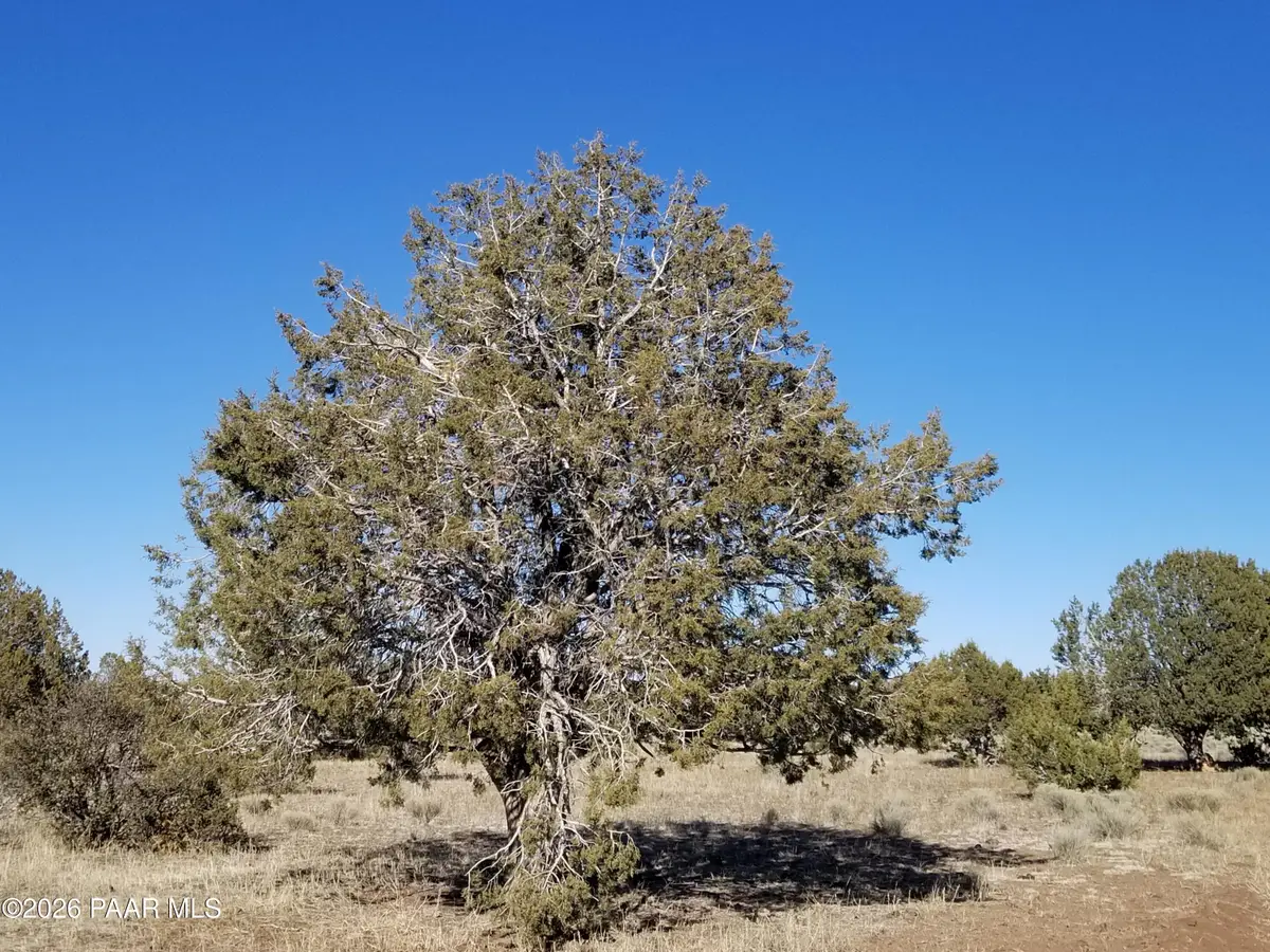 214 Ne Qtr W Rut, Ash Fork, AZ 86320 - #1