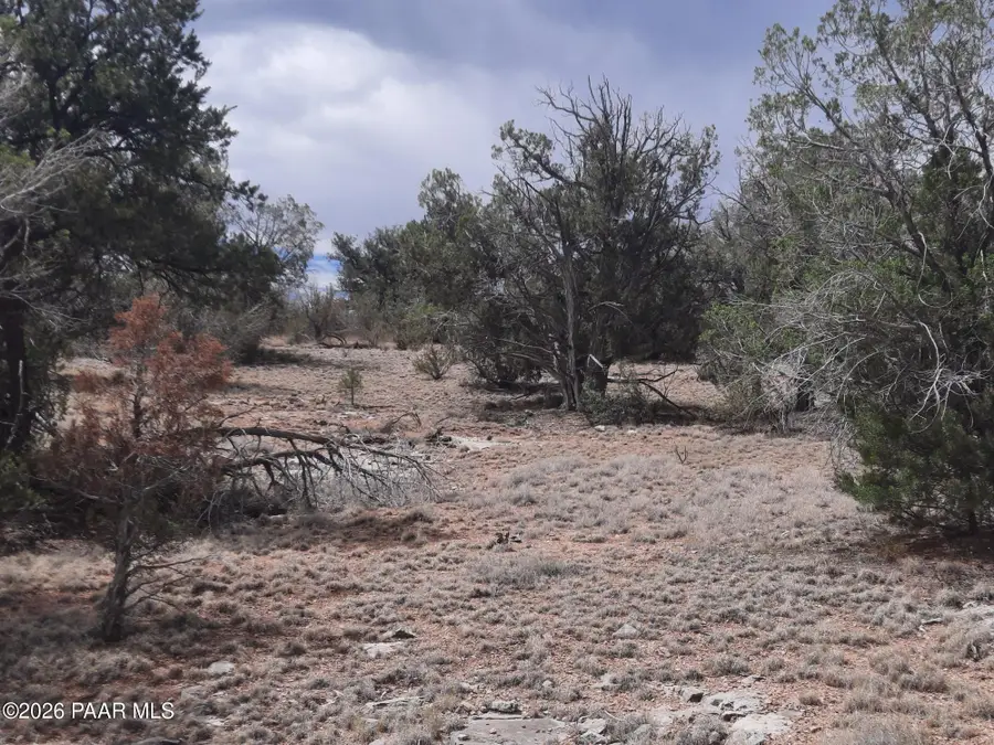 32399 W Avenida Bailar, Seligman, AZ 86337 - #3