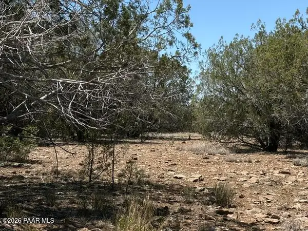 356d Sierra Verde Ranch, Seligman, AZ 86337