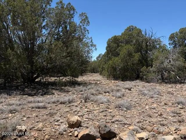 356d Sierra Verde Ranch, Seligman, AZ 86337 - #2