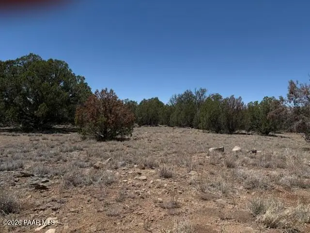 356d Sierra Verde Ranch, Seligman, AZ 86337 - #3