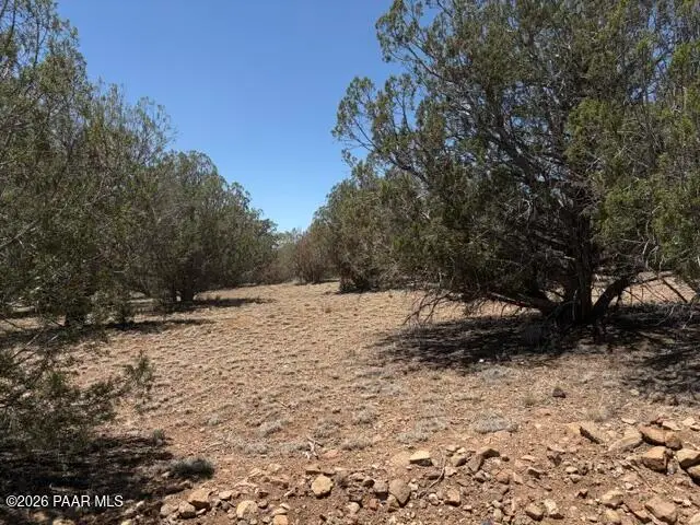 356c Sierra Verde Ranch, Seligman, AZ 86337 - #2