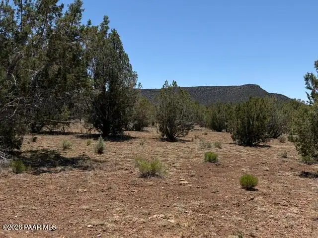 356c Sierra Verde Ranch, Seligman, AZ 86337 - #3