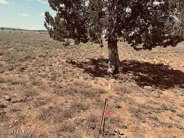 28581 W Hondo Road, Seligman, AZ 86337 - #1