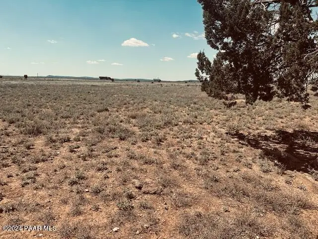 28581 W Hondo Road, Seligman, AZ 86337 - #2
