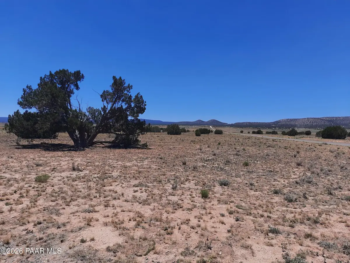 27705 W Fort Rock Road, Seligman, AZ 86337 - #1