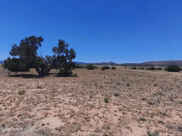 27705 W Fort Rock Road, Seligman, AZ 86337