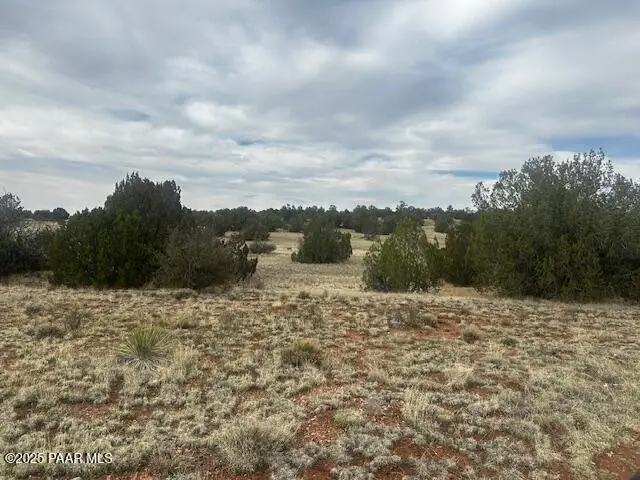 Lot 382se Gable Road, Seligman, AZ 86337 - #2