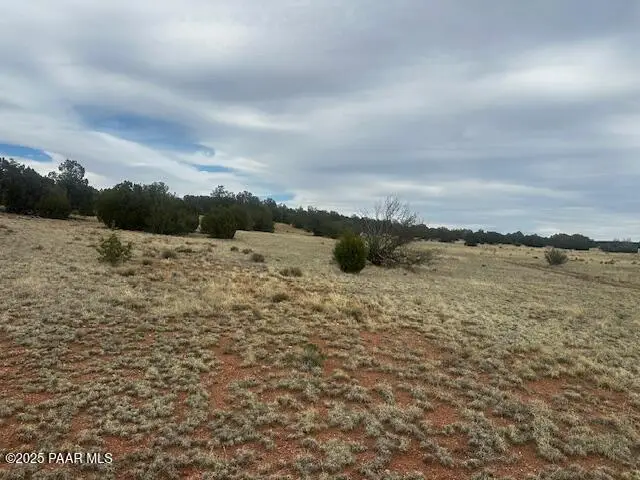 Lot 382ne Gable Road, Seligman, AZ 86337 - #1