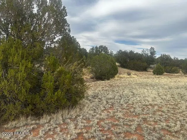 Lot 382ne Gable Road, Seligman, AZ 86337 - #2