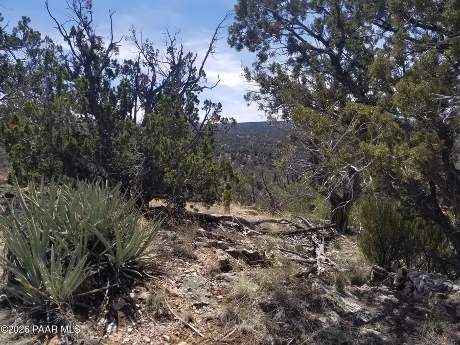 444 & 445 S Arizona Road, Ash Fork, AZ 86320 - #3