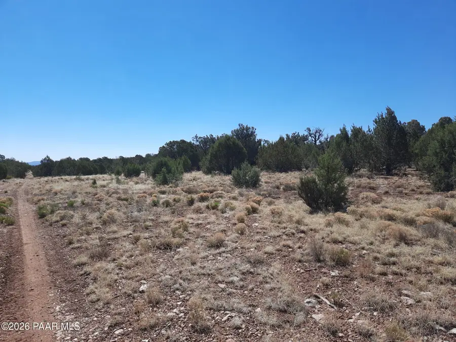 003j Off Duffy Rd Road, Seligman, AZ 86337 - #2