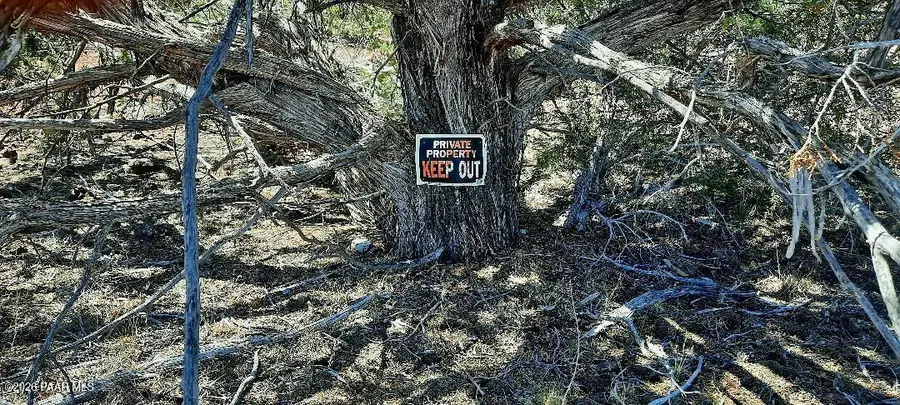 Xxxx S Desperado Trail, Williams, AZ 86046 - #3