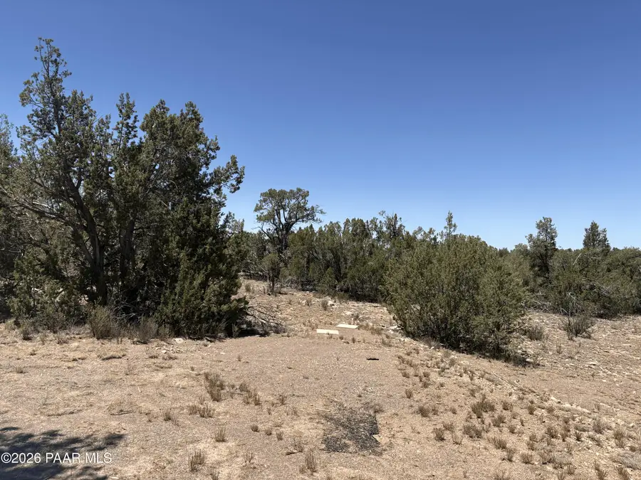 52655 N Conquistador Parkway, Seligman, AZ 86337 - #2