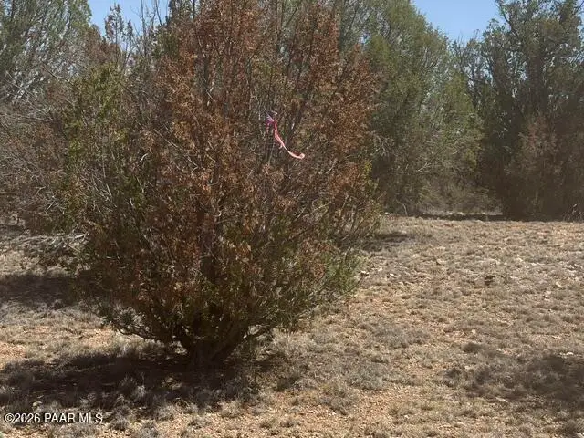 56385 N Bridge Canyon Parkway, Seligman, AZ 86337 - #2