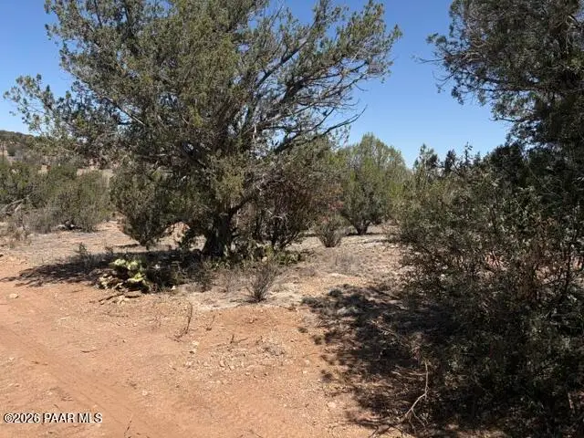 56385 N Bridge Canyon Parkway, Seligman, AZ 86337 - #3