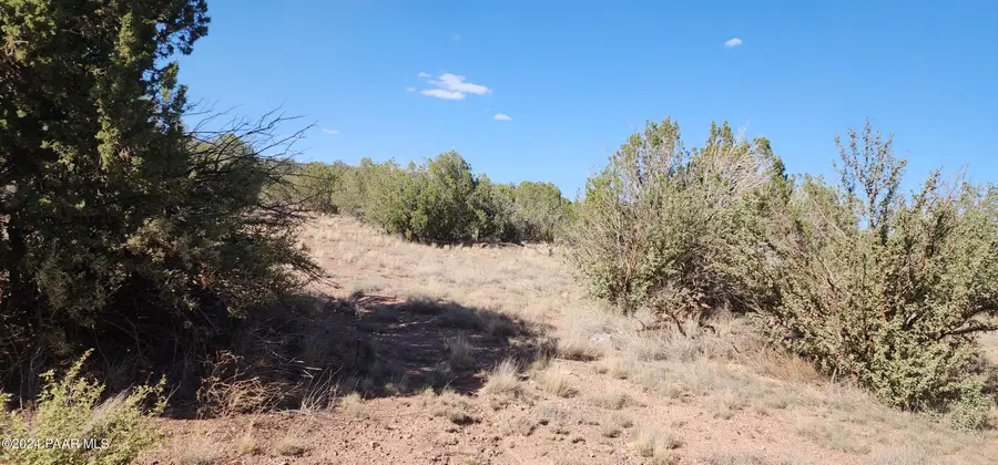 1436 W Foothills Drive, Williams, AZ 86046 - #3